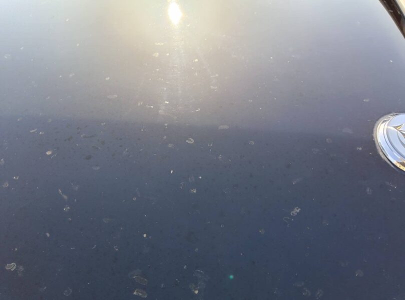 センチュリー ベースグレード5.0 12V★R6税金完納★最高級セダン★ローダウン★車高調★コーティング済★業界最安画像18